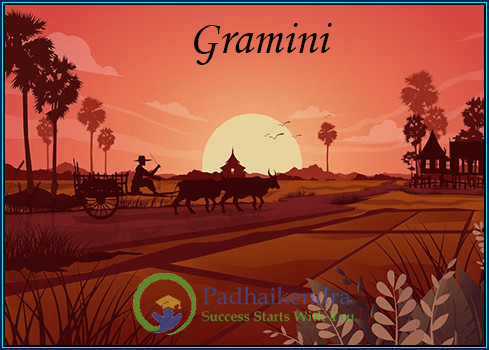 Meaning of the term Gramini
