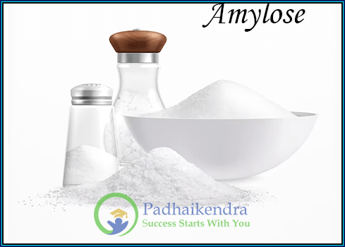 Difference Between Amylose and Amylopectin