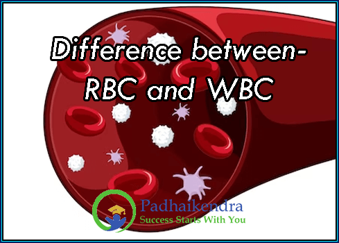 Difference between- RBC and WBC
