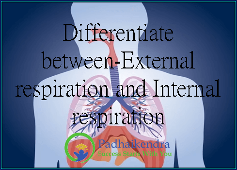 Differentiate between-External respiration and Internal respiration