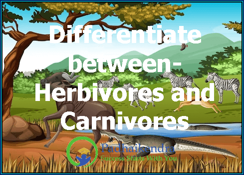 Differentiate between-Herbivores and Carnivores