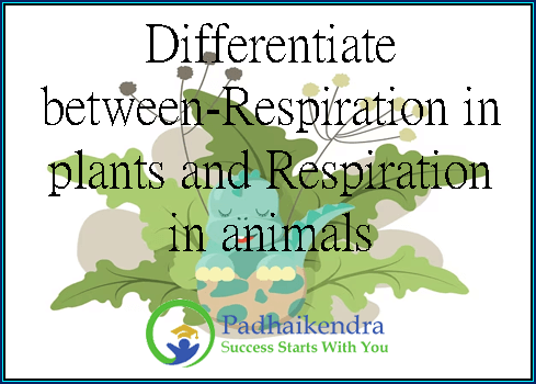 Differentiate between-Respiration in plants and Respiration in animals