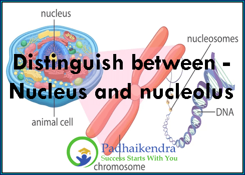 Distinguish between - Protoplasm and cell membrane