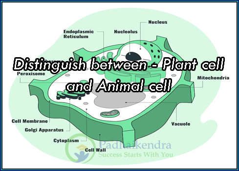 Distinguish between - Plant cell and Animal cell