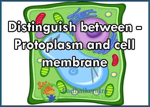 Distinguish between - Protoplasm and cell membrane
