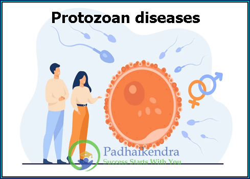 Protozoan diseases