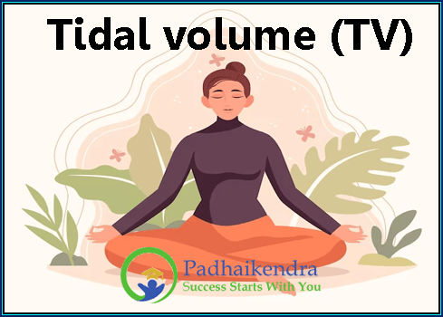 Tidal volume (TV)