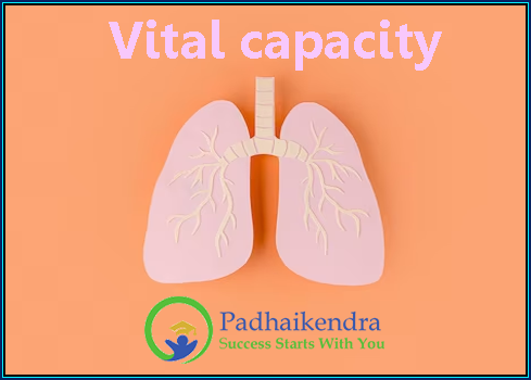 Vital capacity