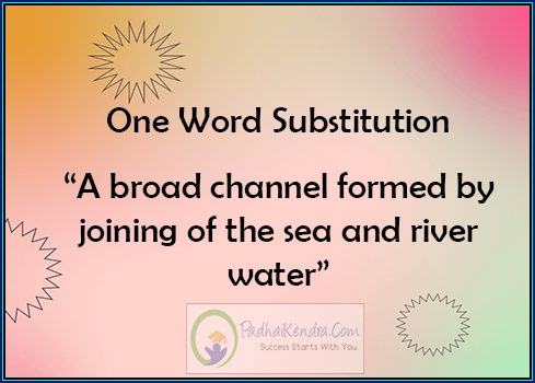 A broad channel formed by joining of the sea and river water