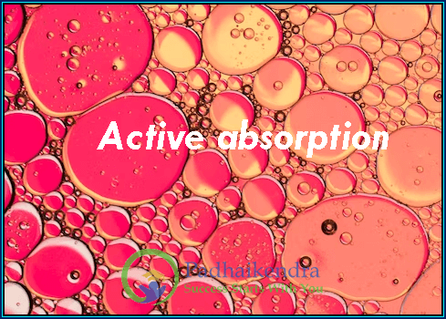 Active absorption