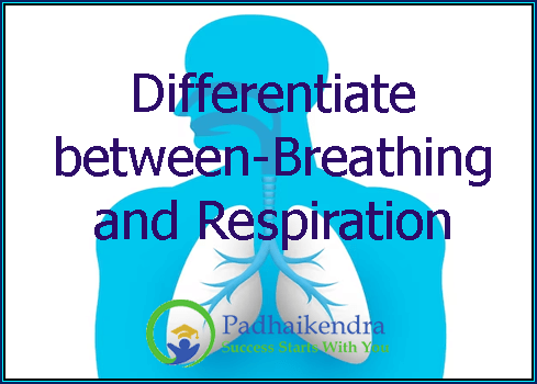 Differentiate between-Breathing and Respiration