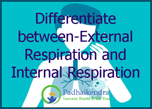 Differentiate between-External Respiration and Internal Respiration