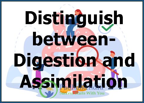 Distinguish between-Digestion and Assimilation