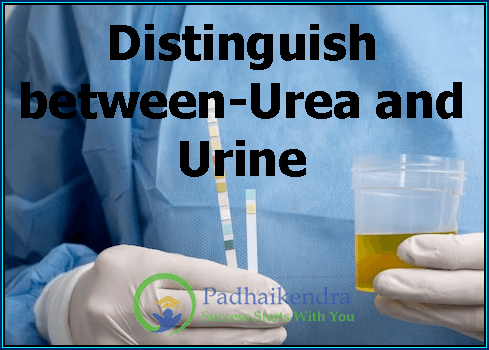 Distinguish between-Urea and Urine