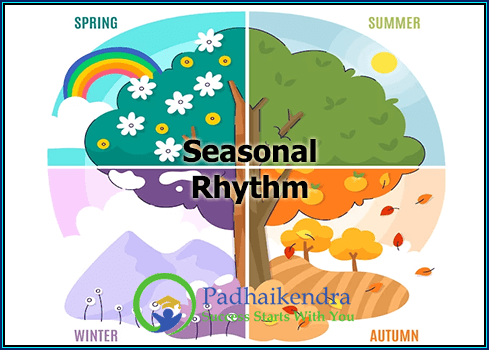 Seasonal Rhythm