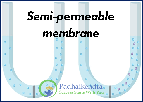 Semi-permeable membrane