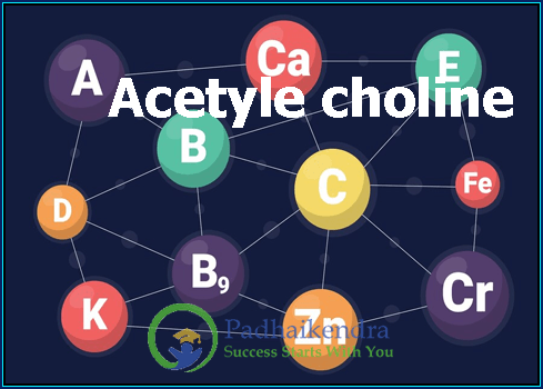 Acetyle choline