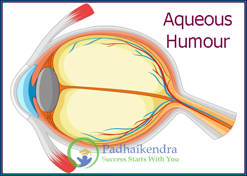 Aqueous humour