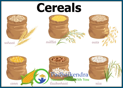 Cereals