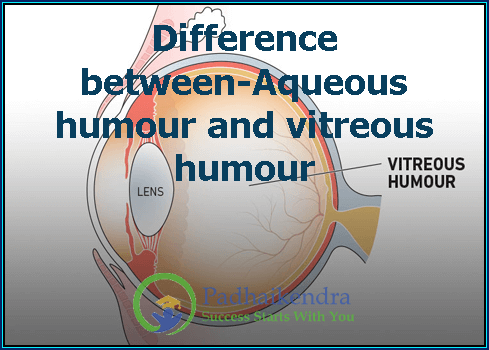 Difference between-Aqueous humour and vitreous humour