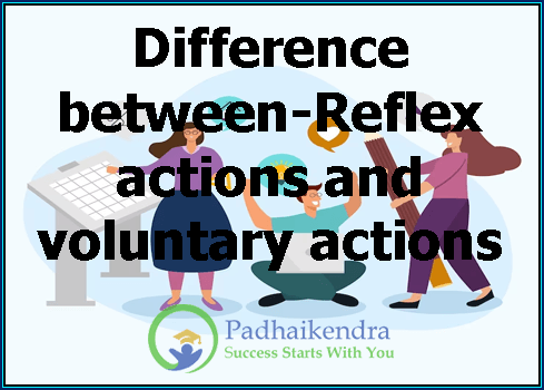 Difference between-Reflex actions and voluntary actions