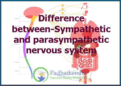 Difference between-Sympathetic and parasympathetic nervous system