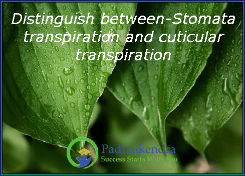 Distinguish between-Stomata transpiration and cuticular transpiration