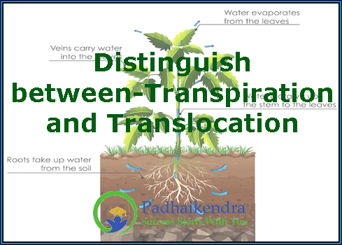 Distinguish between-Transpiration and Translocation
