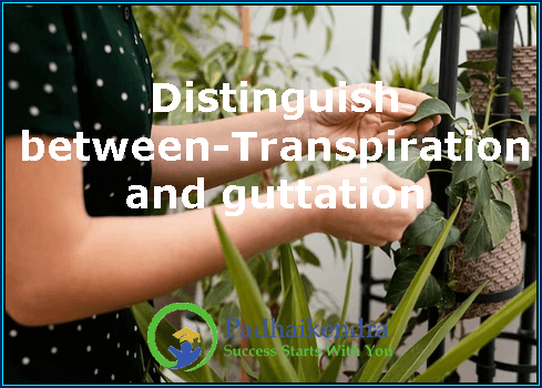 Distinguish between-Transpiration and guttation