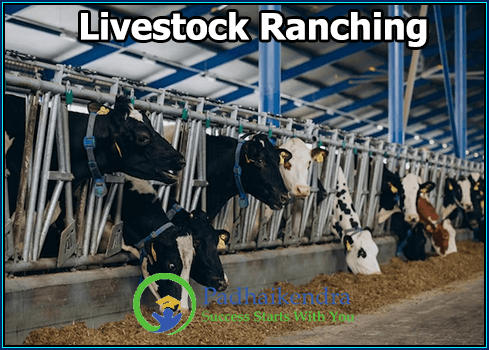 Livestock Ranching
