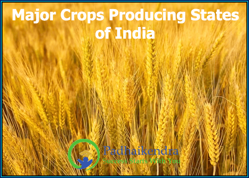 Major Crops Producing States of India