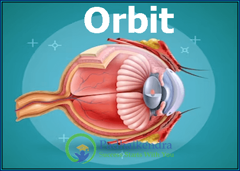 Orbit