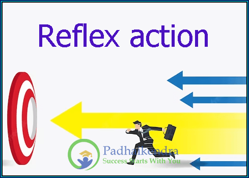 Reflex action