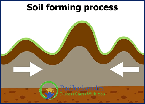 Soil forming process