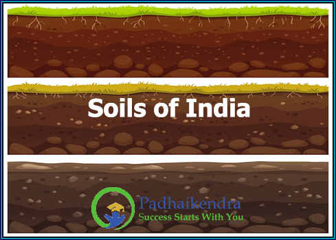 Soils of India