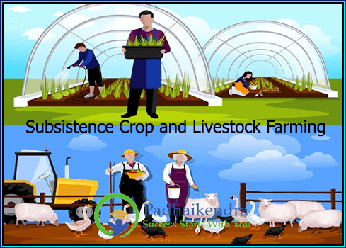 Subsistence Crop and Livestock Farming