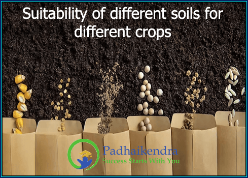 Suitability of different soils for different crops