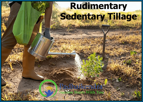 Rudimentary Sedentary Tillage