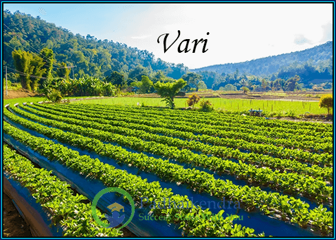Meaning of the term Vari