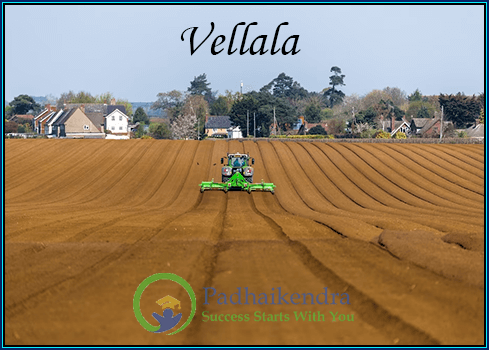 Meaning of the term Vellala