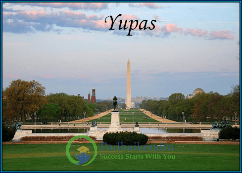 Meaning of the term Yupas