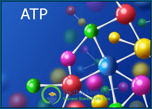 ATP