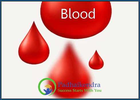 Blood