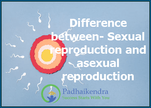 Difference between-Sexual reproduction and asexual reproduction