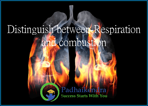 Distinguish between-Respiration and combustion