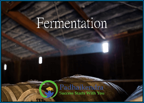Fermentation