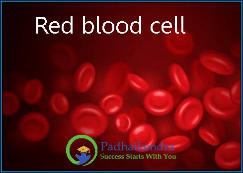 Red blood cells