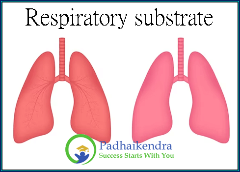Respiratory substrate