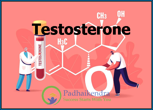 Testosterone