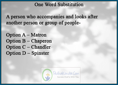 A person who accompanies and looks after another person or group of people